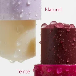 Baume Lèvres Teinté