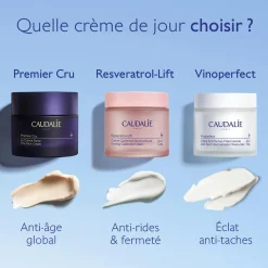 Crème Anti-Taches à la Viniférine & Niacinamide - Recharge