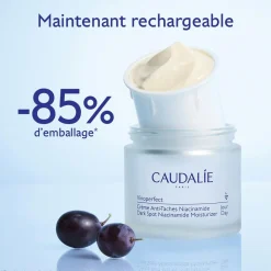 Crème Anti-Taches à la Viniférine & Niacinamide - Recharge