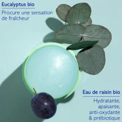 Déodorant Stick Naturel Vinofresh