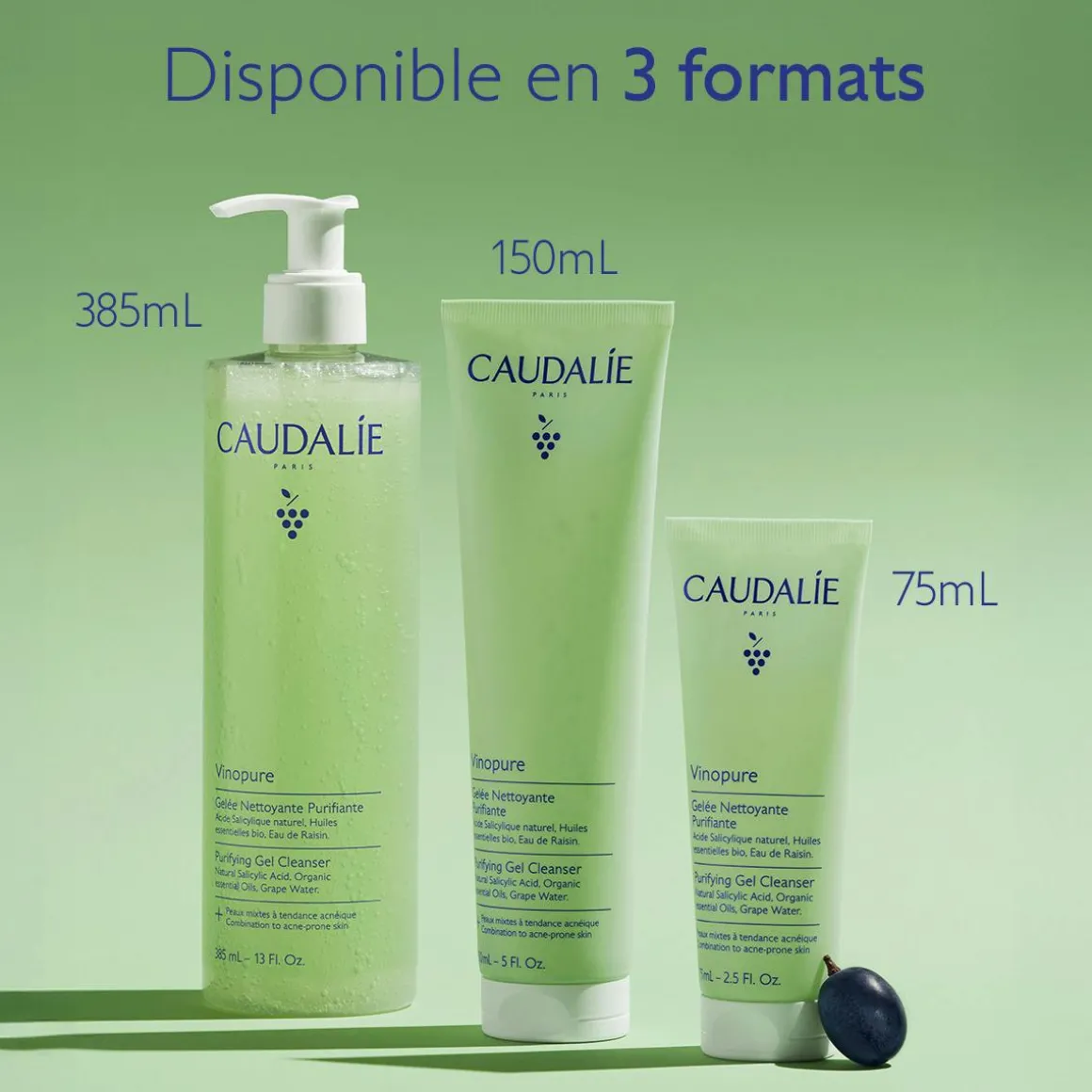 Gelée Nettoyante à l'Acide Salicylique Purifiante - 385mL