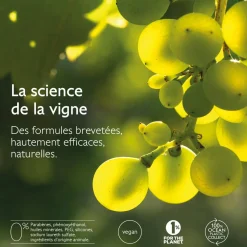 La Crème au Brevet Longévité & filler repulpant naturel